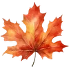🍁