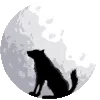 🐺