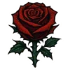🌹