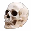 💀