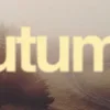 🍂