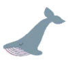 🐋