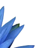 💙