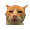 🐈‍⬛