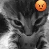 😡