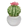 🌵