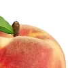 🍑