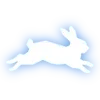 🐇