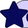 🌟