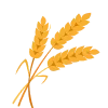 🌾