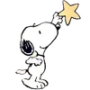 🌟