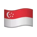 🇸🇬