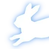 🐇