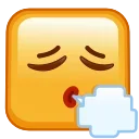 😮‍💨