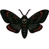🦋
