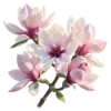 🌸