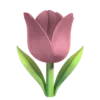 🌷