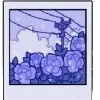 🖼