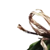 💐