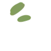 🌱