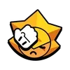 🌟