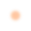 🟤