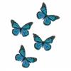 🦋
