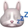 😴