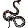 🐍