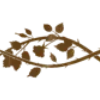 🫖
