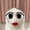 😽