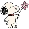 🐶