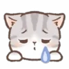 ⭐
