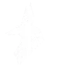 ⚔️