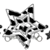 🌟