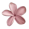 🌺