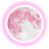 🌕