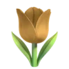 🌷