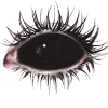 👁