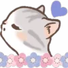 ⭐