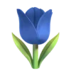 🌷