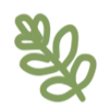 🌱