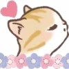 ⭐