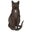 🐈‍⬛️