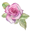 🌺