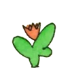 🌹