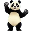 🐼