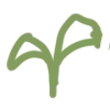🌱