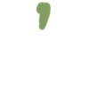 🌱