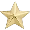 🌟